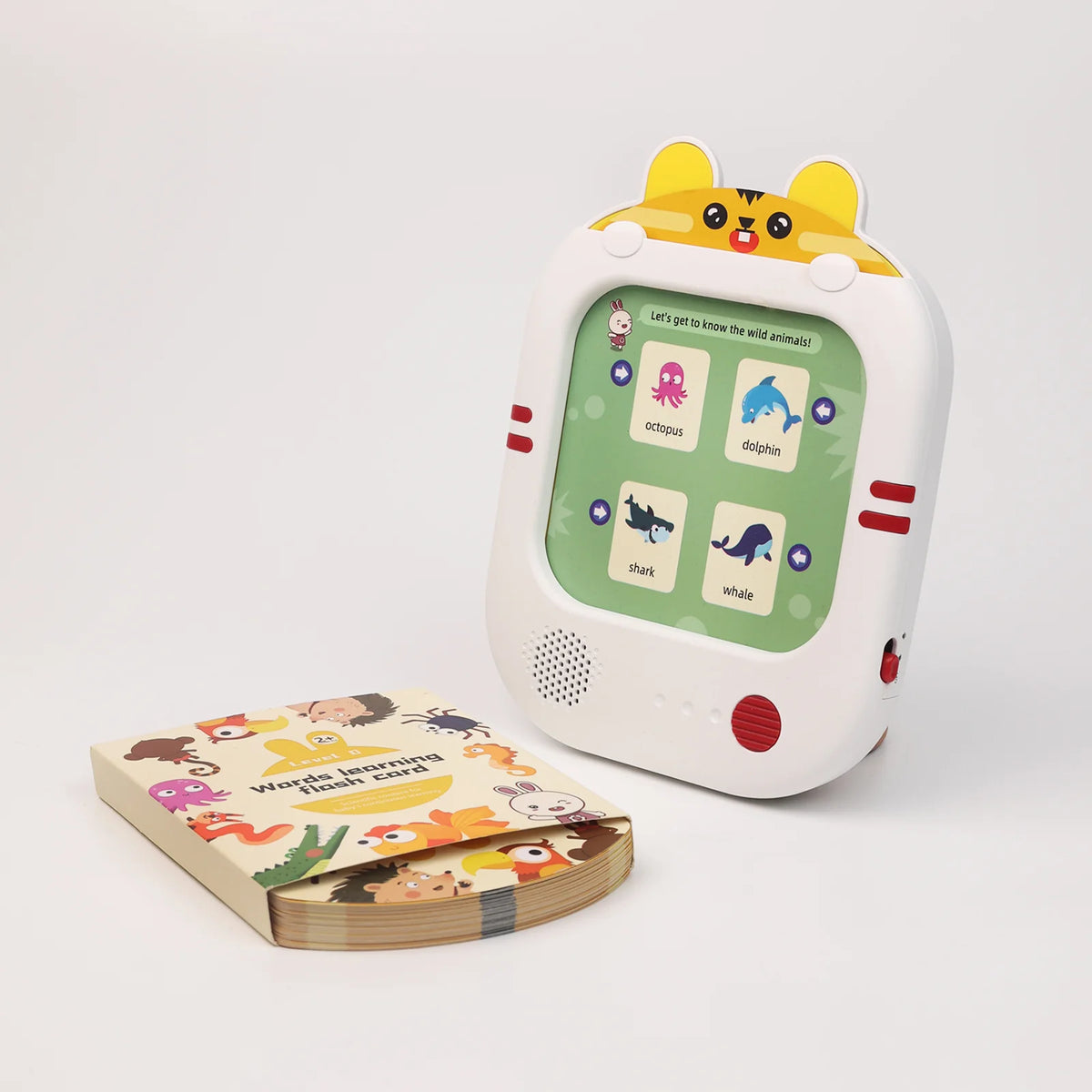 Interactive Learning Tablet