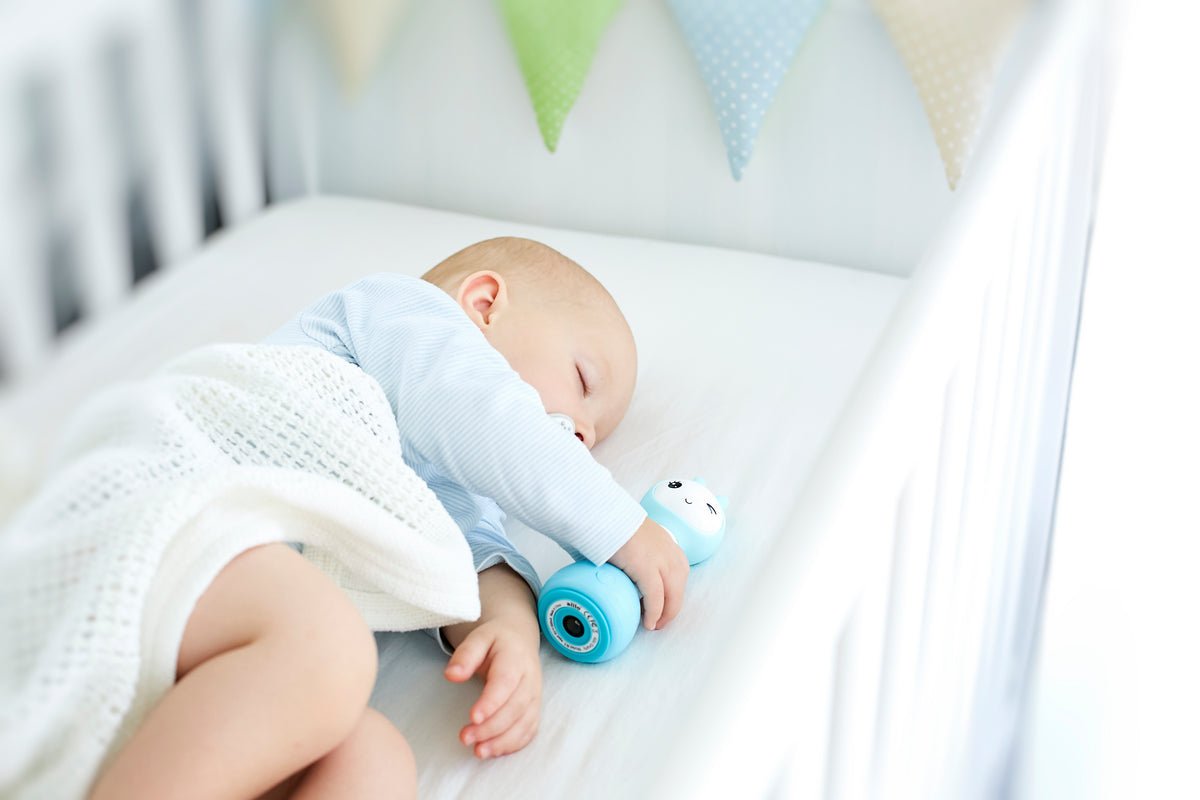 Smarty Rattle